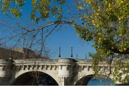 Visite privée : les mystères de l'Ile de la Cité