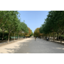 Le Jardin du Luxembourg et ses trésors