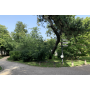 Private tour Jardin des Plantes