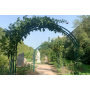 Private tour Jardin des Plantes