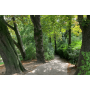 Private Tour Parc des Buttes Chaumont
