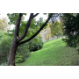 Private Tour Parc des Buttes Chaumont