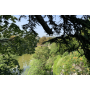 Private Tour Parc des Buttes Chaumont