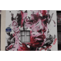 Visite privée : Quand le Street Art raconte l'histoire du Marais