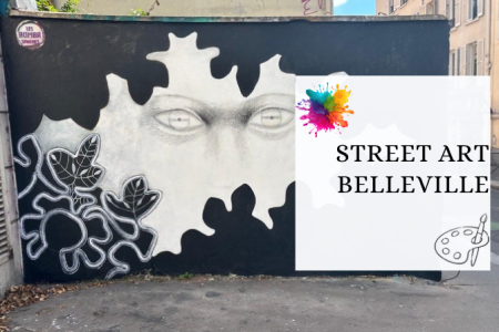 Visite privée : Le Paris du Street Art dans le quartier de Belleville