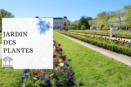 Visite privée du Jardin des Plantes