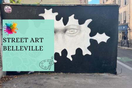 Visite privée : Le Paris du Street Art dans le quartier de Belleville