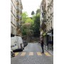 Incontournables : Montmartre